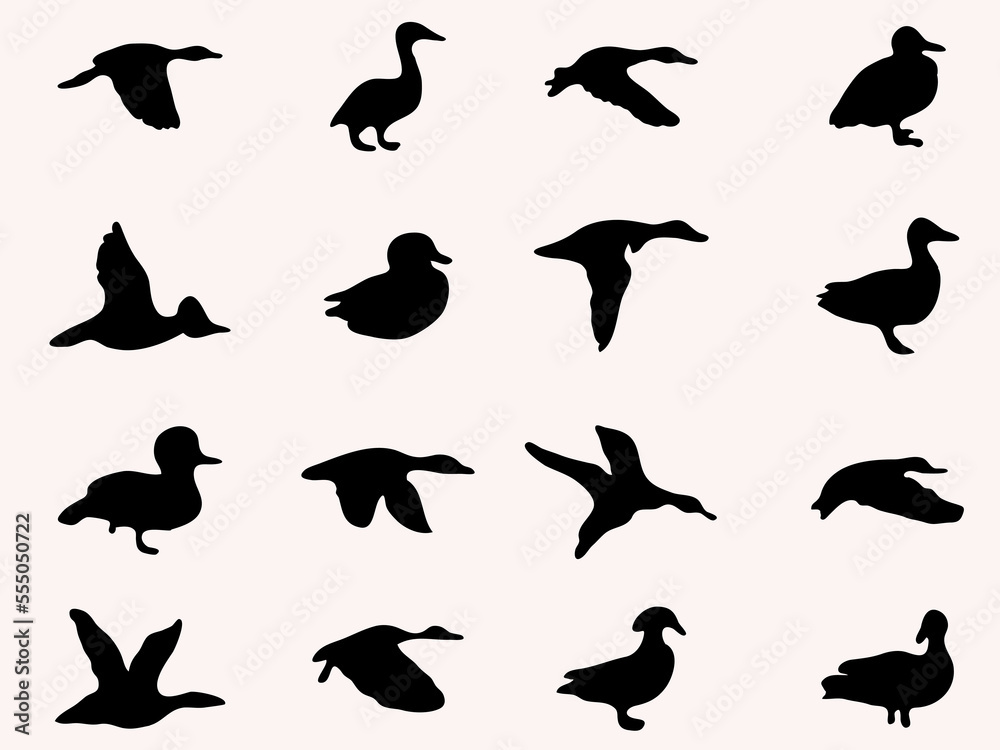 wild sea duck silhouettes .flying duck shadow vector illustration wild sea duck silhouettes .flying duck shadow vector illustration