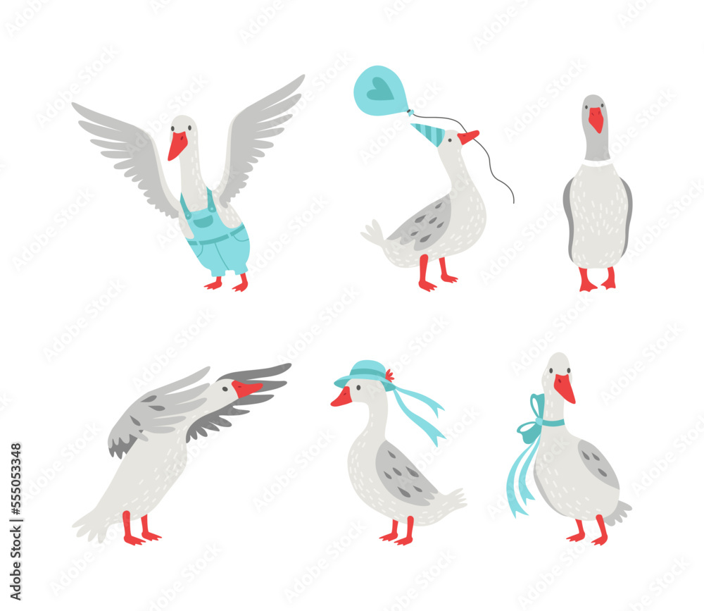 Obraz premium Cute goose character set. Domestic fowl in various poses cartoon vector illustration