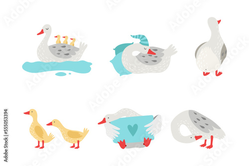 Cute goose and gosling characters set. Waterfowl domestic fowl cartoon vector illustration