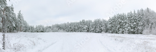 Panoramic view of snow covered forest