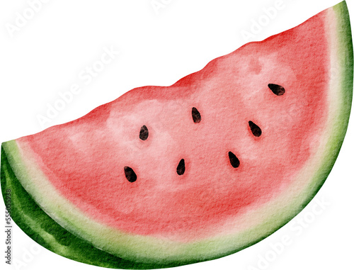 watercolor watermelon © ณัชพล จุลสุวรรณ
