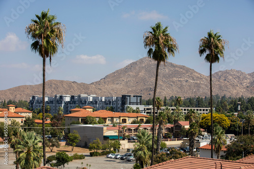 Palm framed day time view of the downtown skyline of Riverside, California, USA.