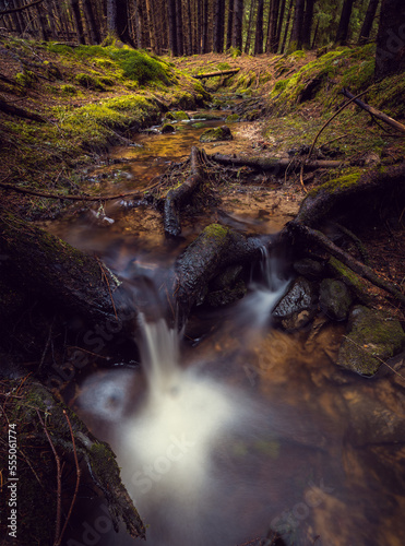 waterfall in the forest