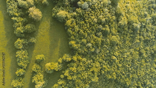 Cinematic aerial shot of an endless mountain and forest landscape. Flight over hills forest in Mountain at sunset. 