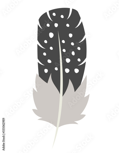 Guinea fowl feather in flat style. Beautiful design element.