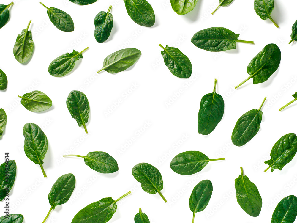 Pattern from baby spinach isolated Pattern from baby spinach isolated