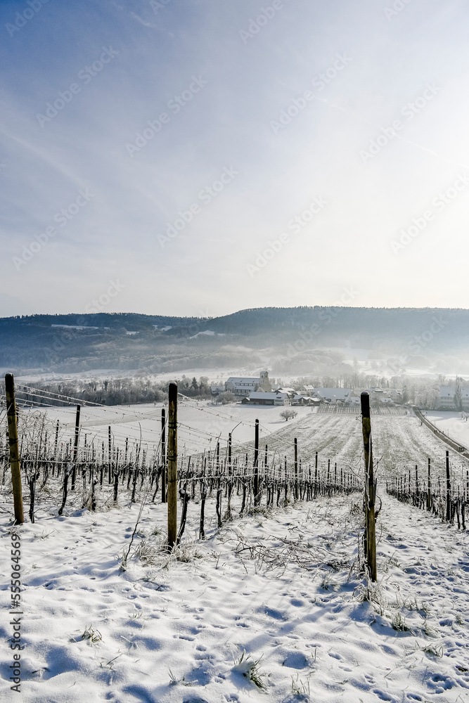 Fototapeta premium Mariastein, Kloster, Weinberg, Winter, Winterland-schaft, Landwirtschaft, Felder, Wanderweg, Spazierweg, Metzerlen-Mariastein, Dorf, Obstbäume, Obstbauer, Schweiz
