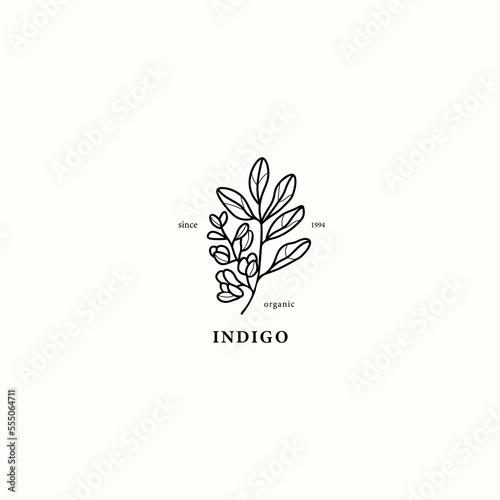 Line art indigo plant illustration