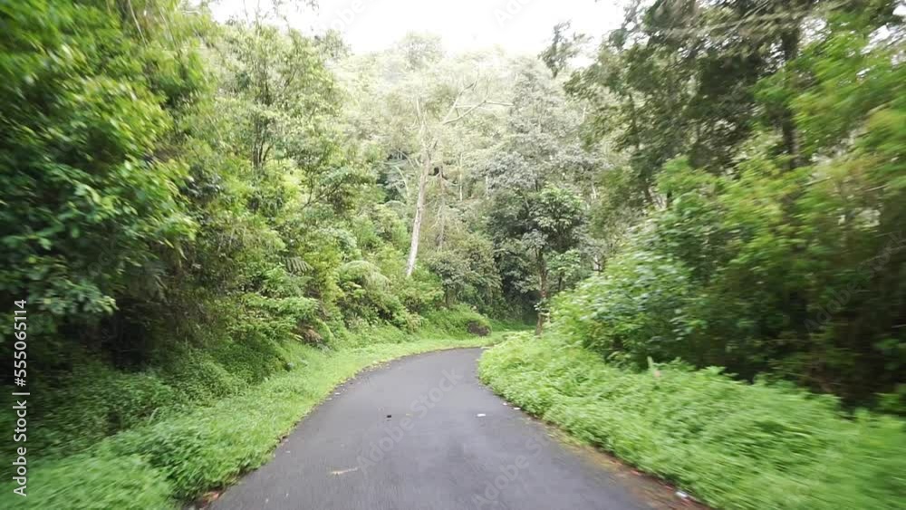 trip with natural scenery of hills and tall green trees with cloudy foggy weather after rain during the day trip with natural scenery of hills and tall green trees with cloudy foggy weather after rain during the day