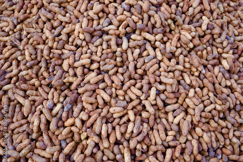 Close up of peanut or groundnut Unpeeled selling in market in india, Peanuts in bulk, market display, selling peanuts roadside Close up of peanut or groundnut Unpeeled selling in market in india, Peanuts in bulk, market display, selling peanuts roadside