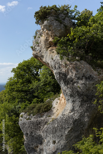 Summer landscape with bizarre weathering grey cliff overgrown lush green trees, plants, lichens in bright sunny summer day with blue clear sky on top of mountain, vertical . Vacation in wild nature.