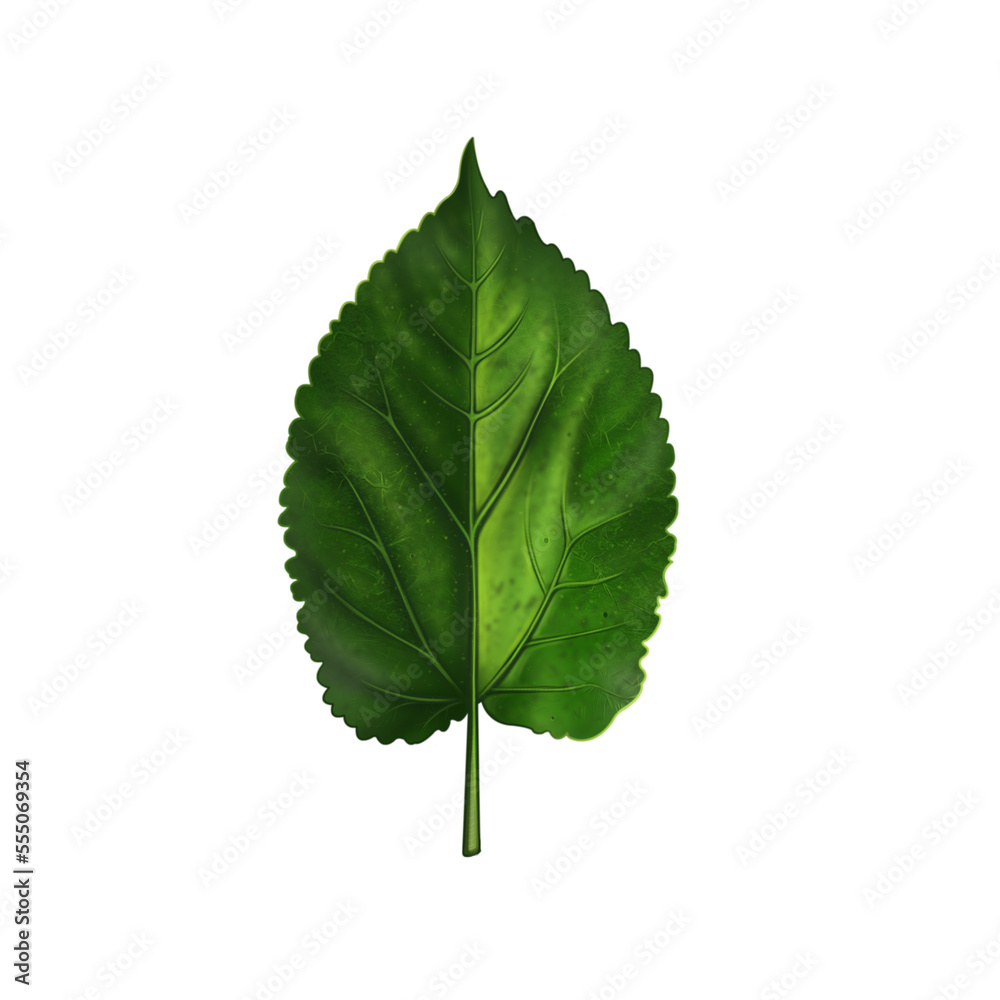green leaf isolated on white background. in flat design. green leaf isolated on white background. in flat design.