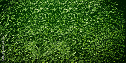 background green wall of plants