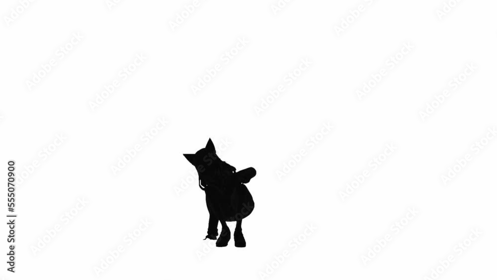 Sexy dance silhouette of person on white background. 3D Sexy dance silhouette of person on white background. 3D