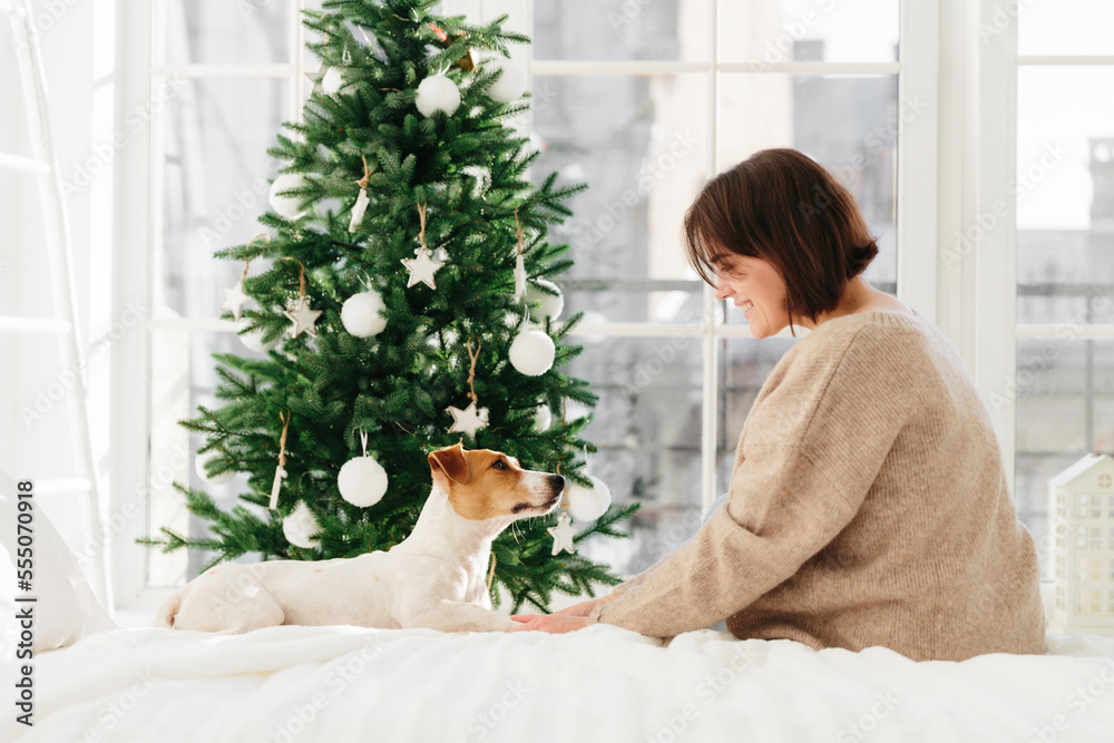 Sideways shot of young brunette woman in loose brown sweater holds paws of dog, sit together at comfortable bed against decorated firtee during Chistmas and New Year time. Window in background Sideways shot of young brunette woman in loose brown sweater holds paws of dog, sit together at comfortable bed against decorated firtee during Chistmas and New Year time. Window in background