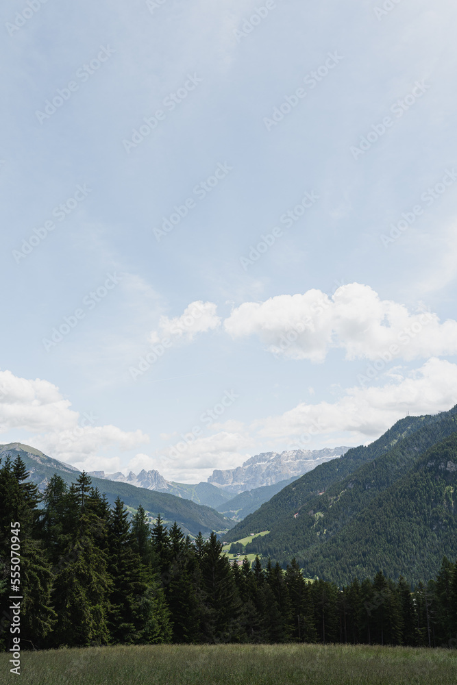 Mountain forest landscape, field, sky with clouds