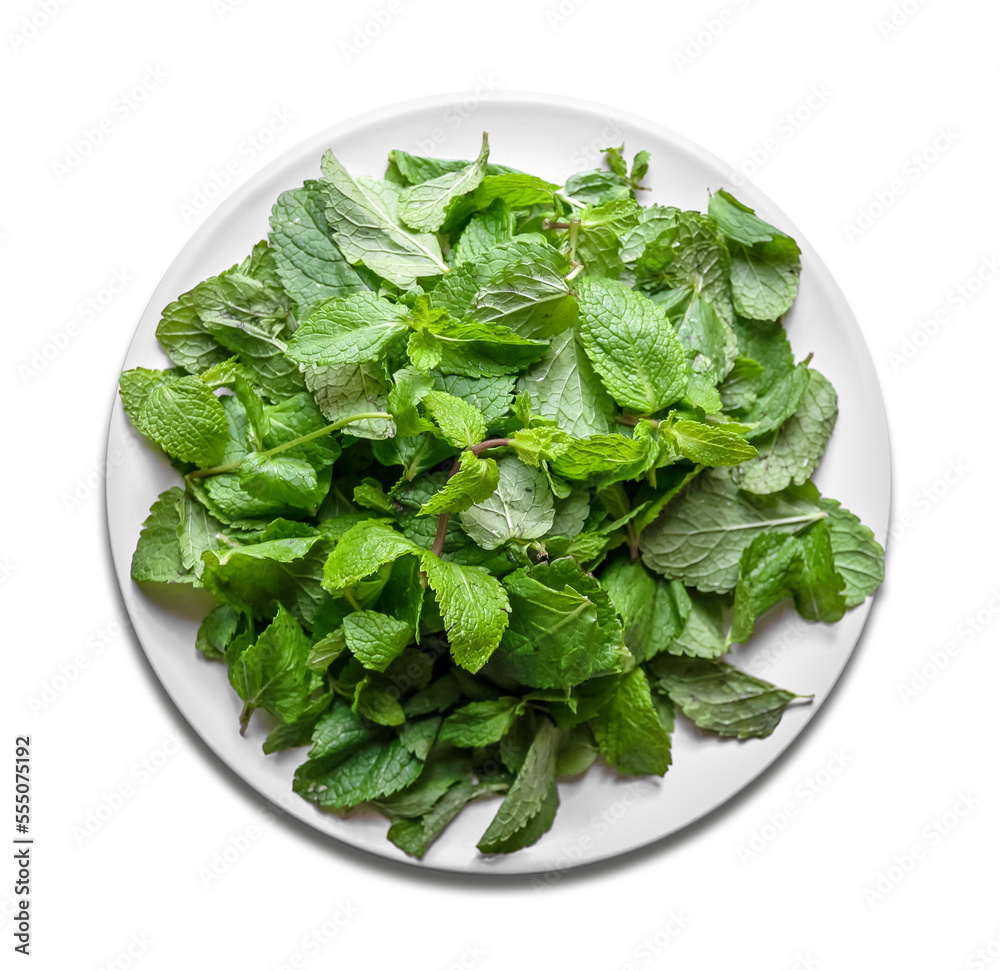 Fresh mint leaves on a plate. Transparent background