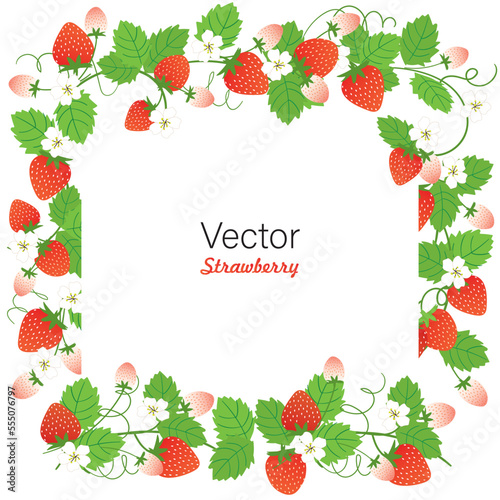 frame of strawberries