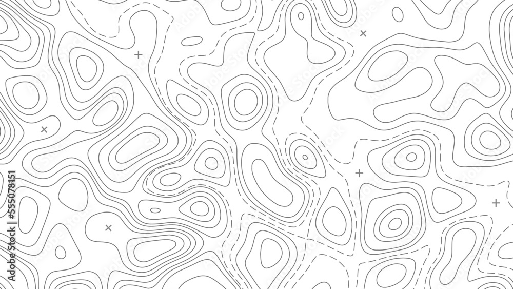 Relief topographic map of the area with high-level contour contours and geodetic grid. Abstract vectror line background isolated on white. Relief topographic map of the area with high-level contour contours and geodetic grid. Abstract vectror line background isolated on white.