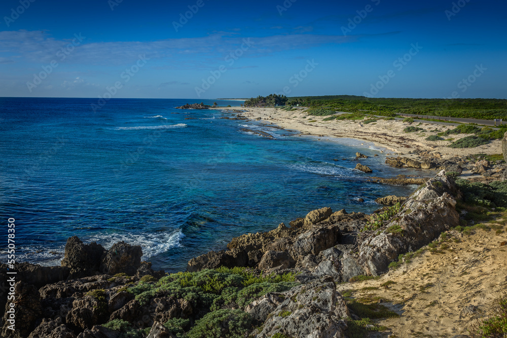 Fototapeta premium La playa de coconuts en Cozumel 