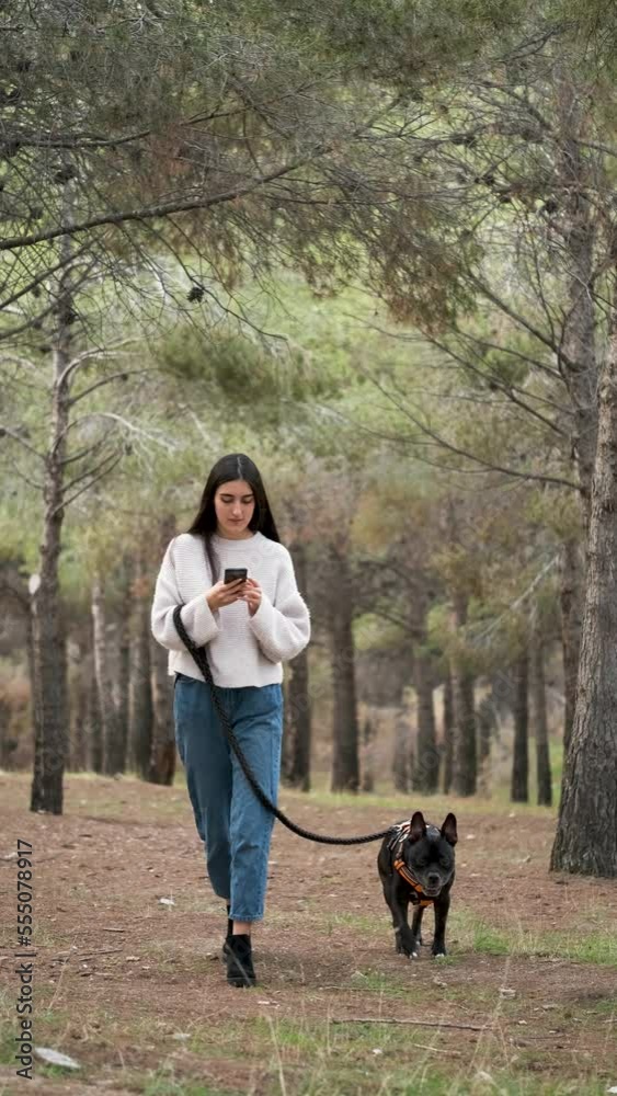 Young caucasian woman walking an american staffordshire and french bulldog mixed breed dog while using the phone at a pine forest. Young caucasian woman walking an american staffordshire and french bulldog mixed breed dog while using the phone at a pine forest.