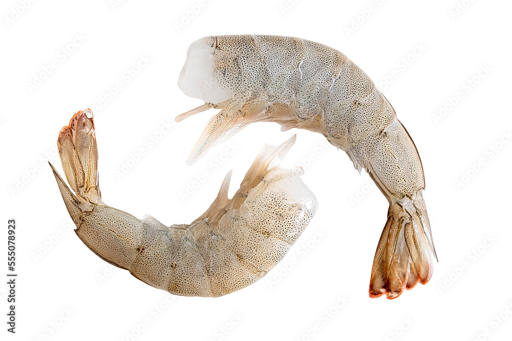 Obraz premium Fresh white shrimps isolated on white background