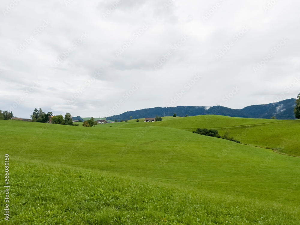 The wide green meadow in Richterswill