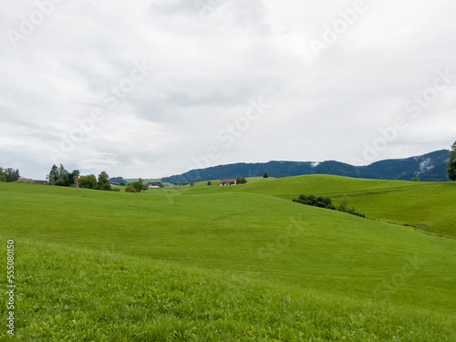 The wide green meadow in Richterswill