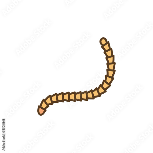 Cestoda vector Parasitic Worm concept colored icon