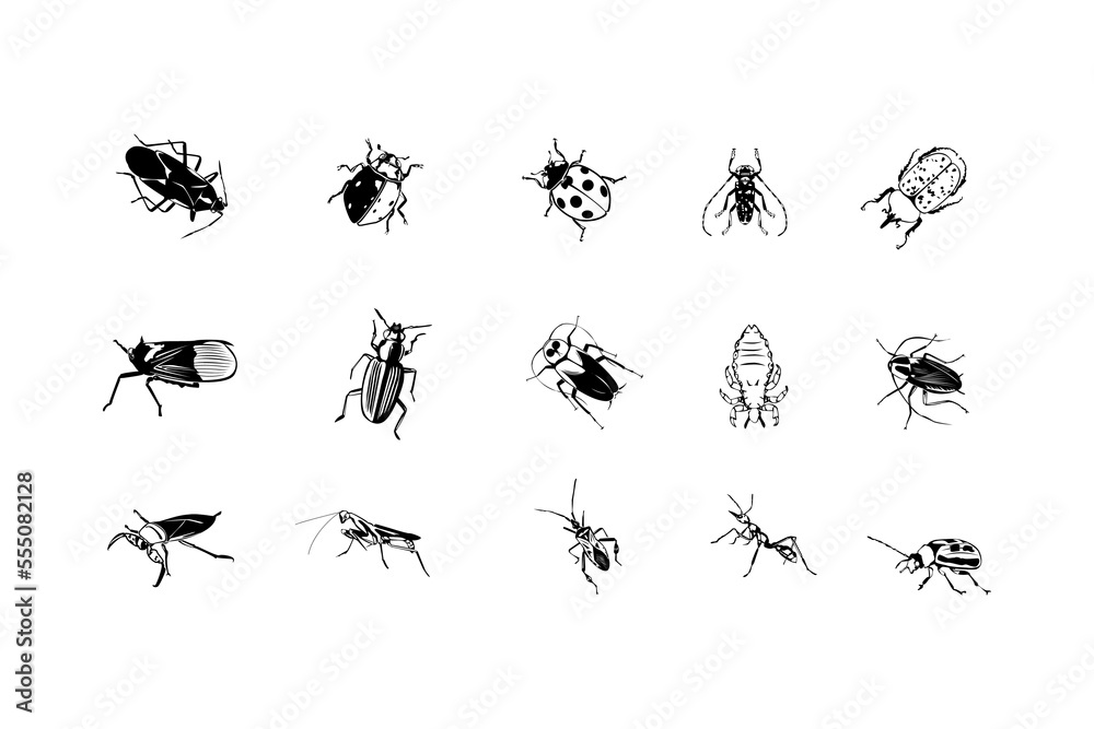 Pests and various insects set vector icons, white back grounds.