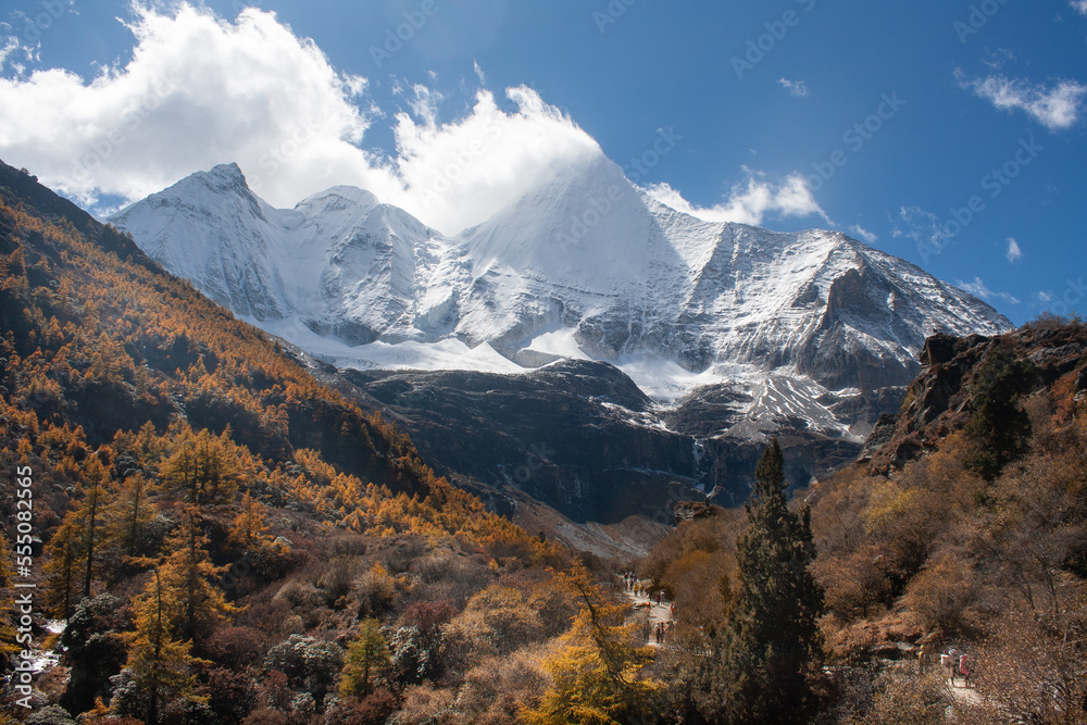 Fototapeta premium pasture and mountain in Yading nature reserve