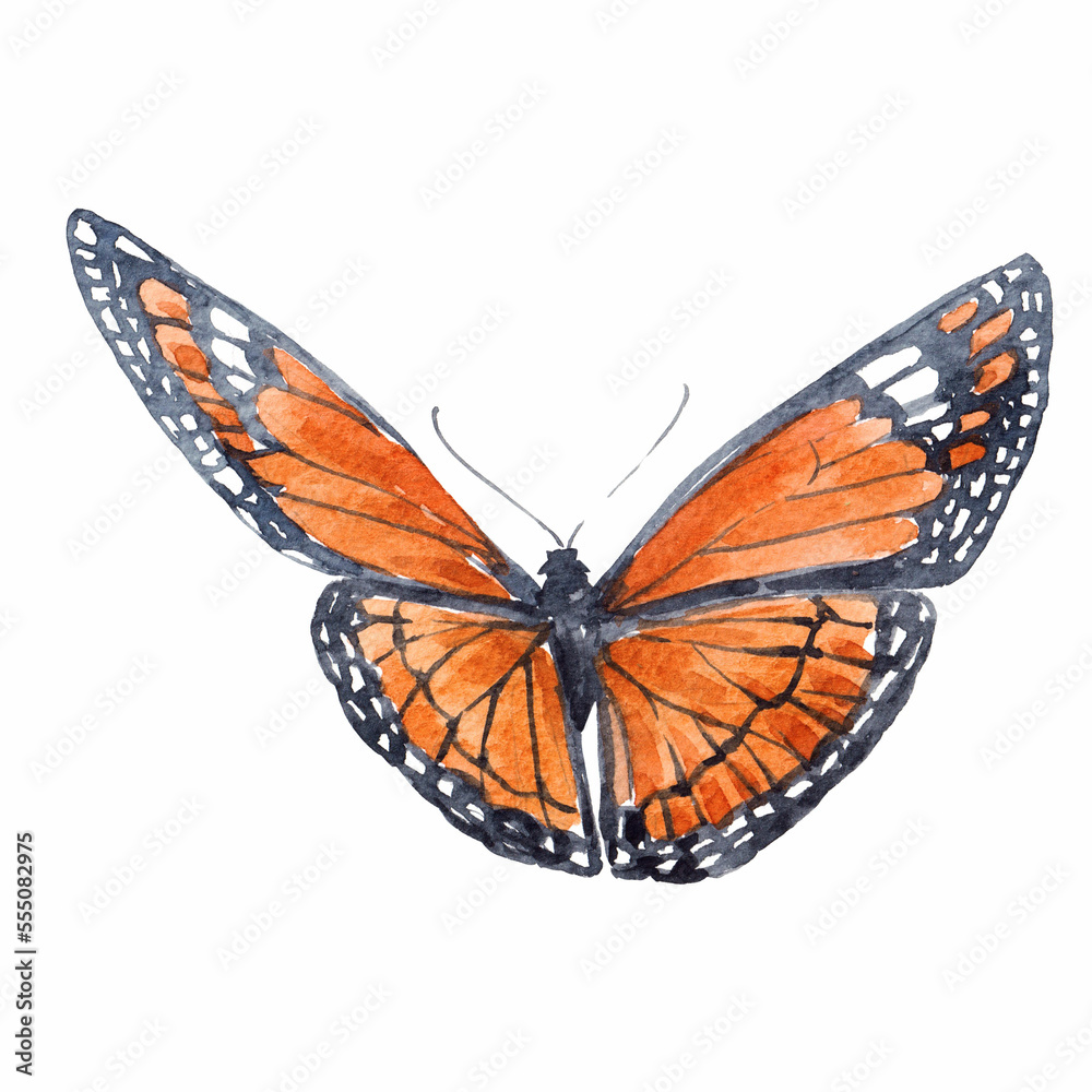 Fototapeta premium Beautiful clip art image with cute watercolor butterflies. Stock illustration.