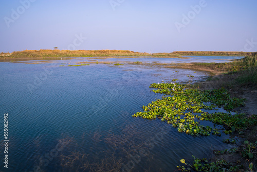 Crystal clear blue water lake landscape view nearby Padma river in Bangladesh