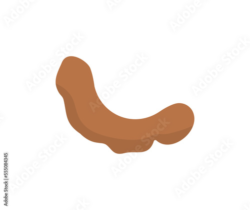 Fruit Tamarind logo design. Tamarind pods (Tamarindus indica fruits). Tropical Fruits vector design and illustration.
