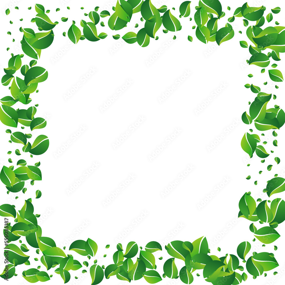Olive Greens Transparent Vector White Background. Olive Greens Transparent Vector White Background.
