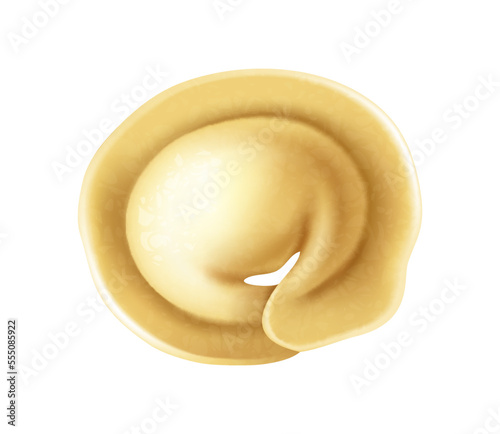 Handmade Dumpling Realistic Composition