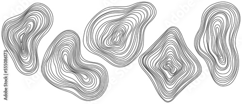 Abstract tree rings. Png topographic map concept for background. Thin black lines on white.