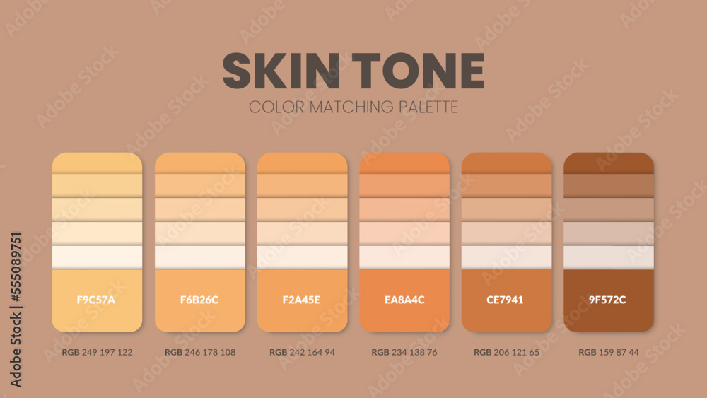 Color palette in Skin Tone colour theme collections. Color inspiration or  colour chart with codes template. Color combination set of RGB. Colors  swatch for graphic design, art, fashion, or website. Stock-Vektorgrafik