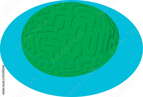 Brain coral icon isometric vector. Green diploria labyrinthiformis in water icon. Undersea world, invertebrate photo