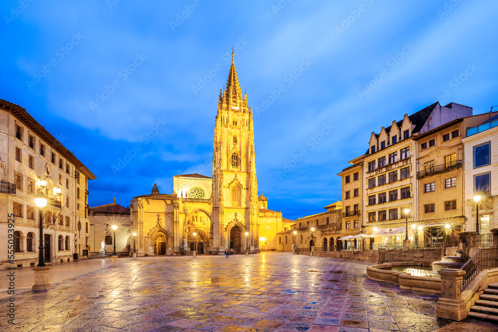 The Metropolitan Cathedral Basilica of the Holy Saviour in Oviedo, Spain