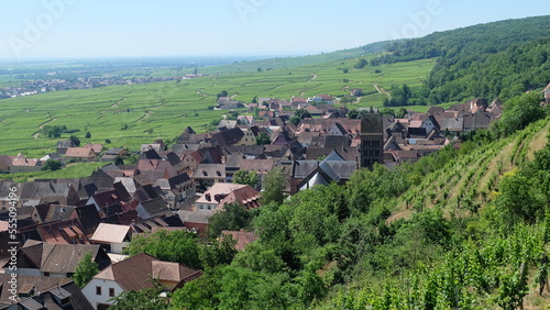 Vogesen Rheinebene Dorf am Hang mit Weinreben