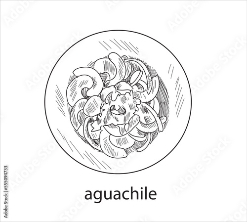 Aguachile mexican food vector. Best Mexican Dishes. Latin american food illustration.