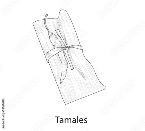 Tamales mexican food vector. Best Mexican Dishes. Latin american food illustration.