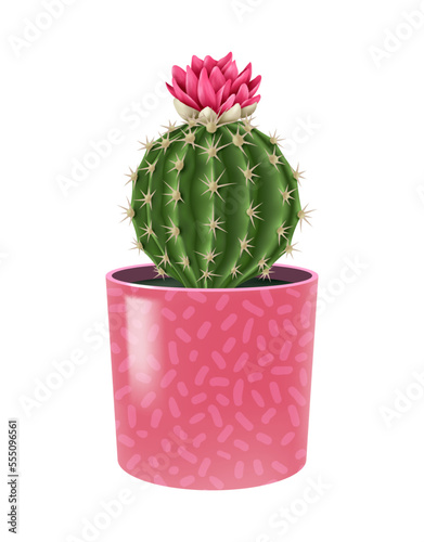 Cute Cactus Pot Composition