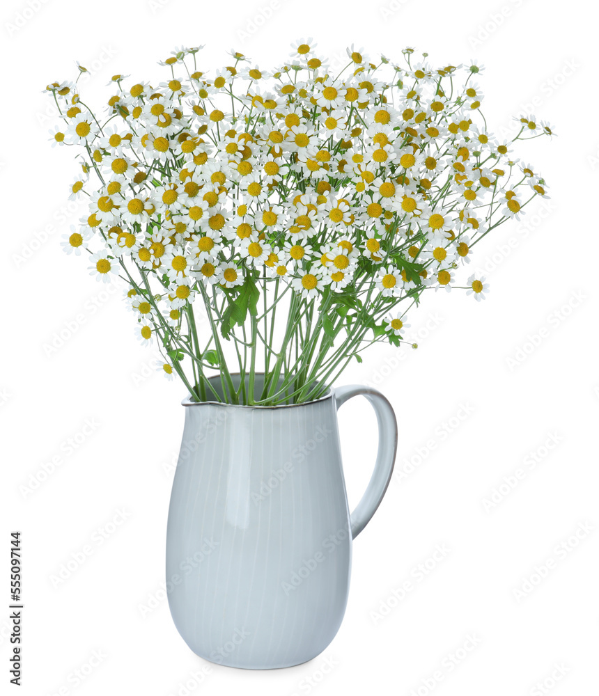 Vase with beautiful chamomile flowers isolated on white