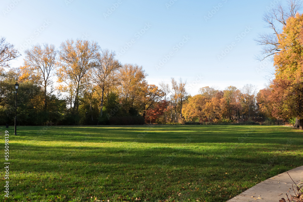 Picturesque view of park with beautiful trees and green grass on sunny day. Autumn season