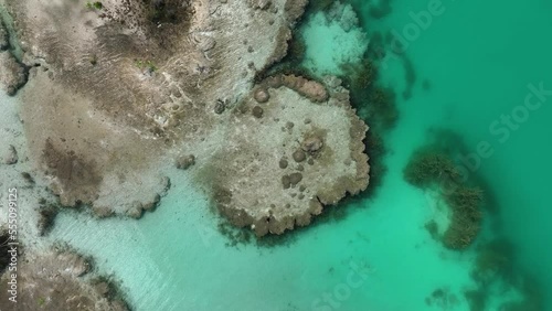 Aerial view above the stromatolites formations, at the Bacalar lagoon in Mexico - top down, drone shot photo