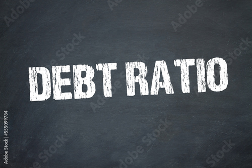 Debt ratio 