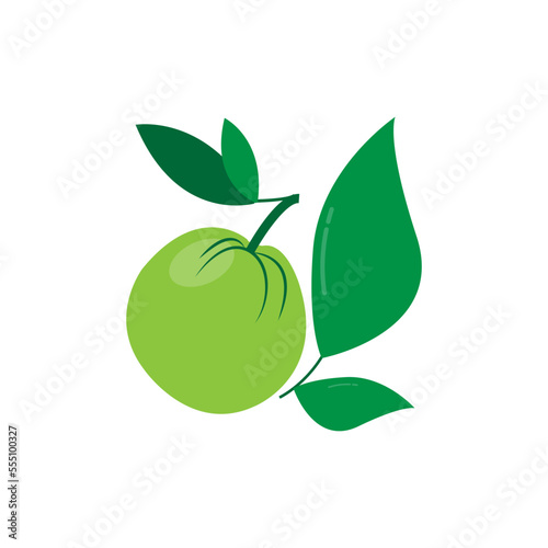 guava icon illustration vector