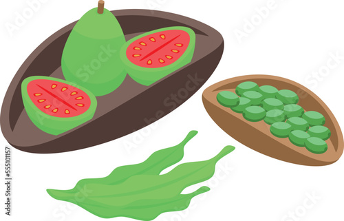 Aborigin fruit food icon isometric vector. Native tribe. Tribal happy